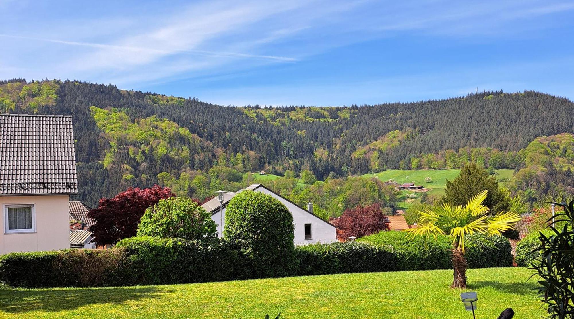 Apartment Seelenbaumler Seelbach (Baden-Wurttemberg)
